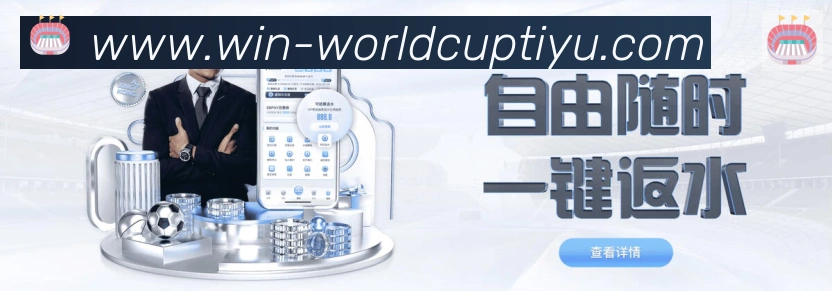 多媒体互动体验